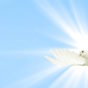 A dove flying against a backdrop of the sun and a light blue sky