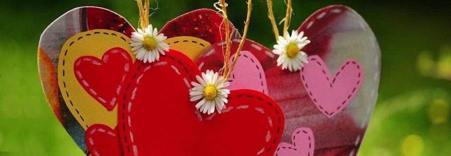 wooden heart decorations with daisies