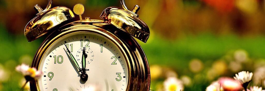 Alarm clock in a field with flowers