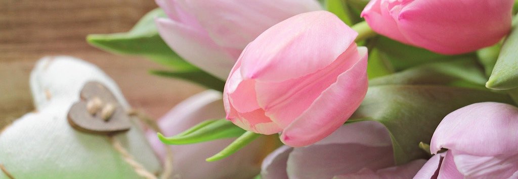 Pink tulips and heart